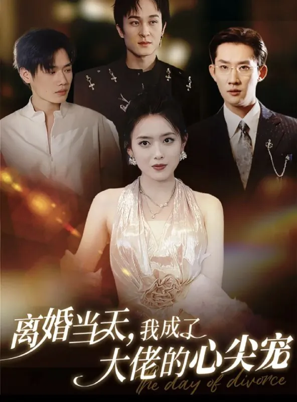 离婚当天我成了大佬的心尖宠 夸克