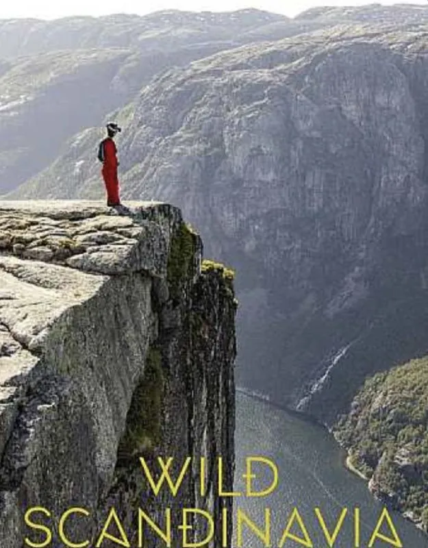 野性斯堪的纳维亚 夸克