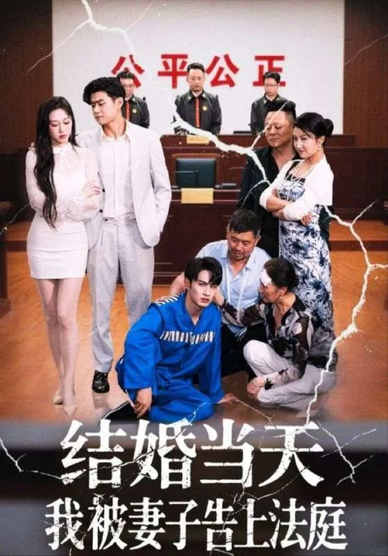 结婚当天我被妻子告上法庭 夸克
