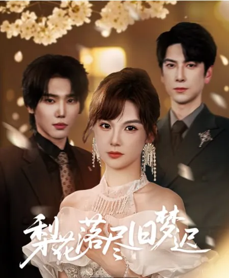 梨花落尽旧梦迟