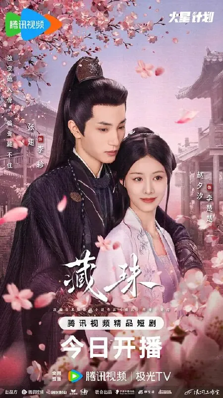 藏珠 夸克