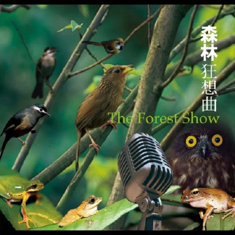 森林狂想曲大自然音乐风潮WAV分轨 夸克