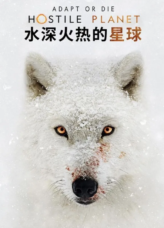水深火热的星球 夸克