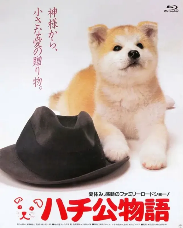 忠犬八公物语 夸克