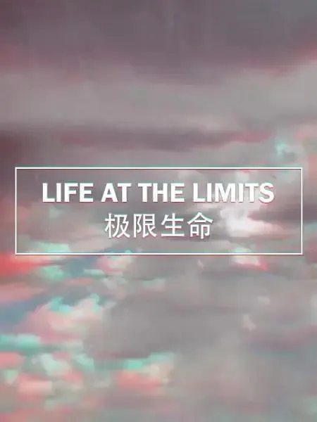 极限生命 夸克