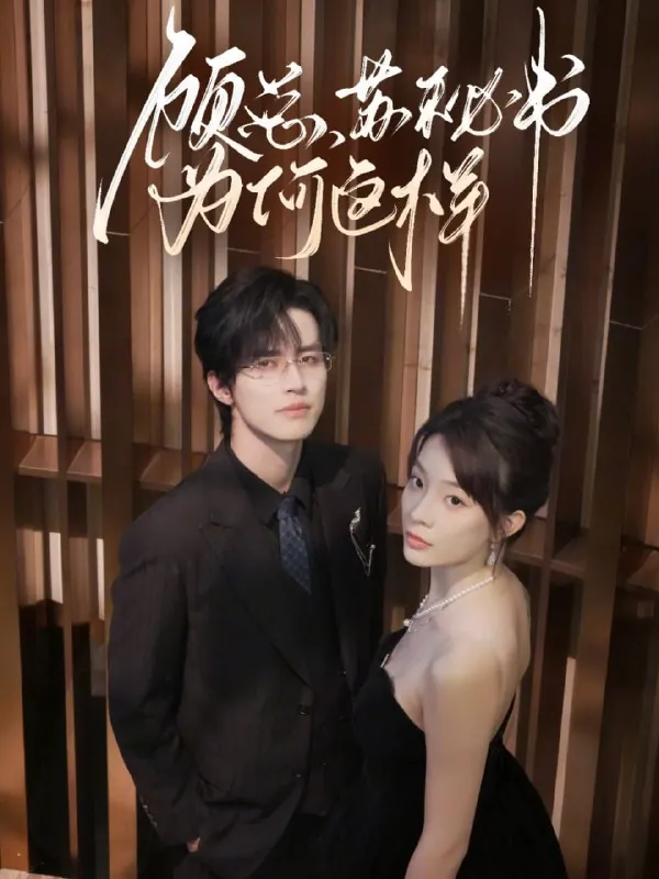 顾总苏秘书为何这样