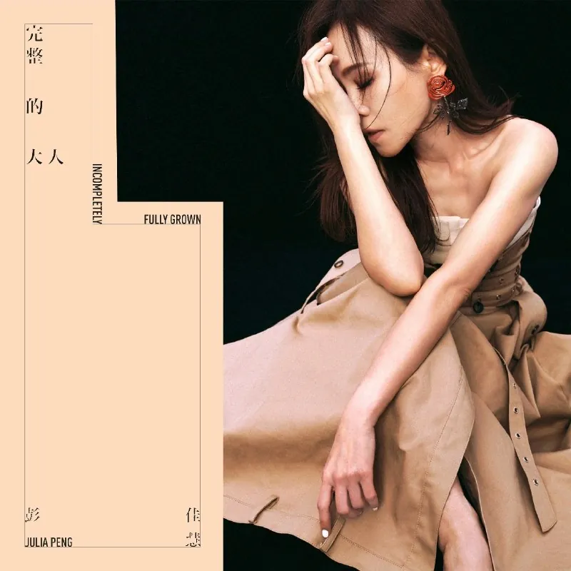 完整的大人 夸克